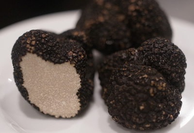 truffe