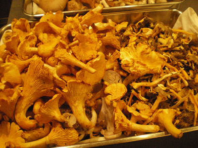 champignon