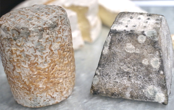 fromage